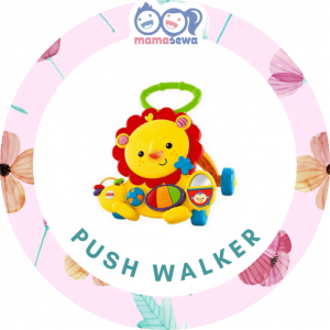 Push Walker